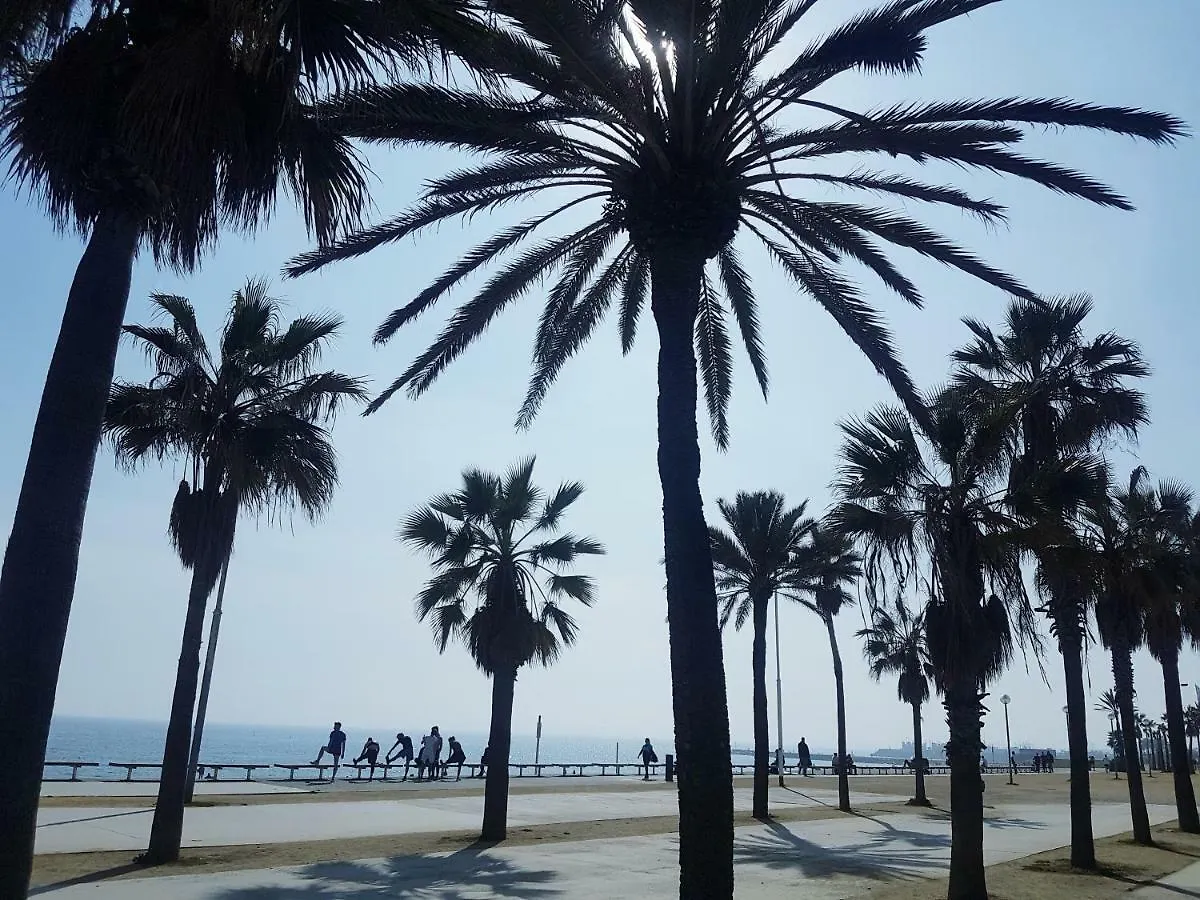Apartment Rambla Poblenou&Mar Bella Beach Barcelona Spain